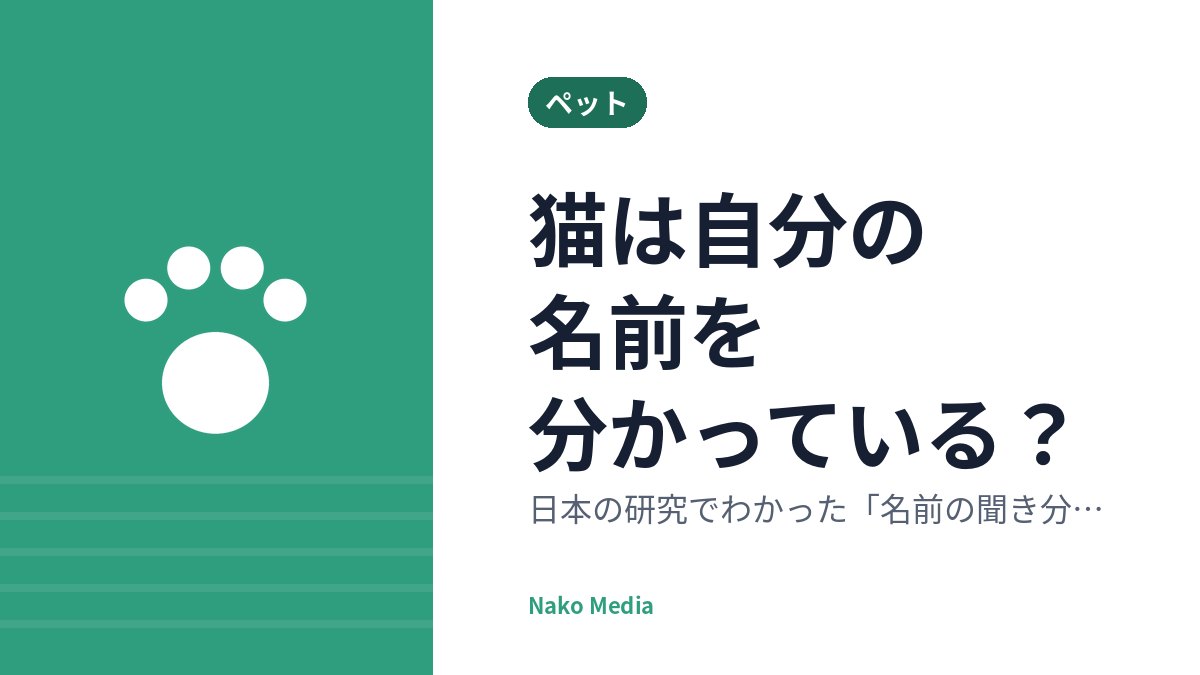 猫は自分の名前を分かっている？日本の研究でわかった「名前の聞き分け」と、同居猫や家族の名前まで覚える力